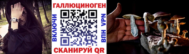 закладки Сретенск Галлюциногенные грибы прущие грибы